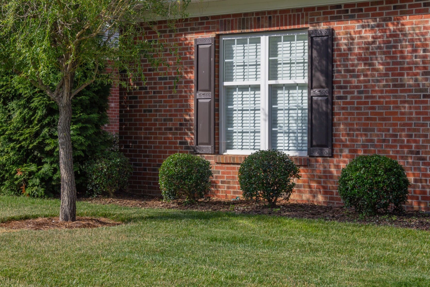 Meadowthorpe Homes for Sale Lexington, KY Real Estate